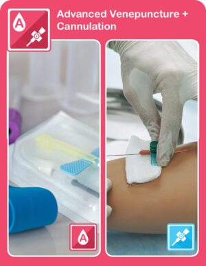 Advanced Venepuncture + IV Cannulation