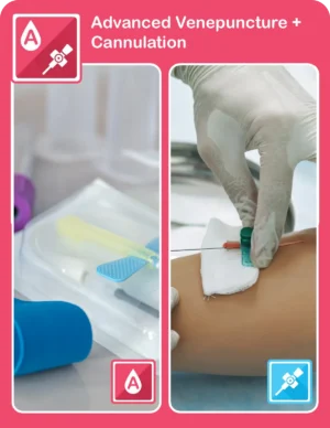 Advanced Venepuncture + IV Cannulation