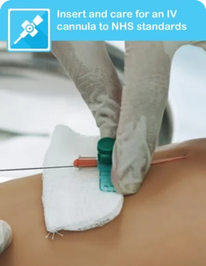 Intravenous (IV) Cannulation