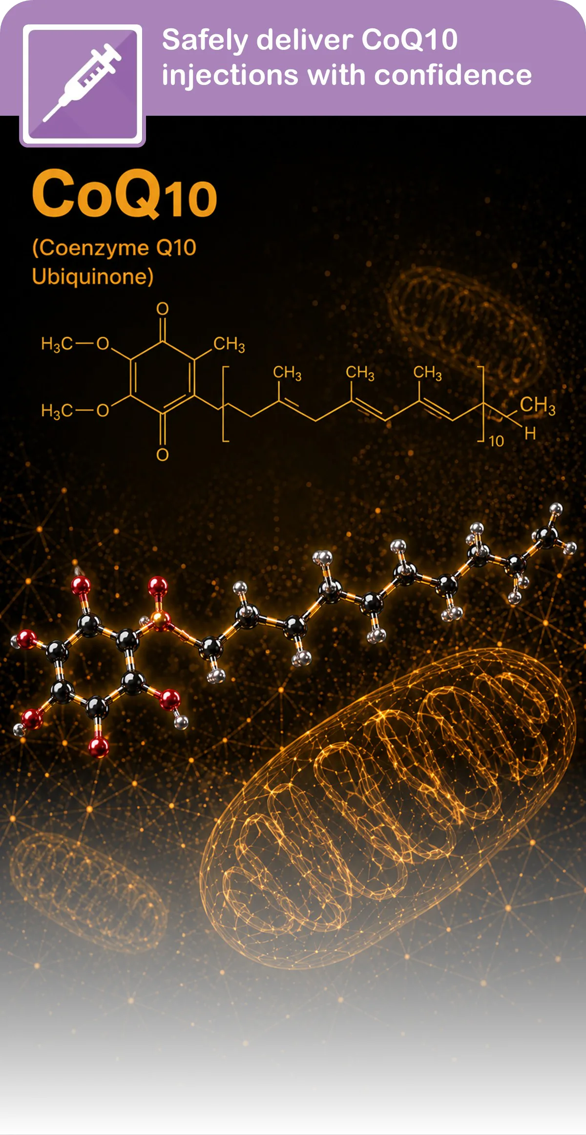 CoQ10